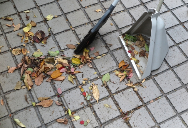 落ち葉を掃く箒